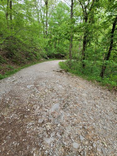 2023 Best Cave Trails In Mammoth Cave National Park Alltrails