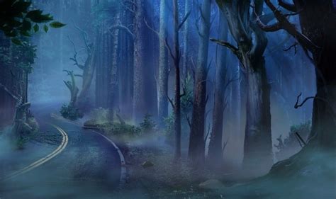 It Lives In The Woods Forest Road Night Anime Scenery Scenery