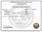 Verify California Insurance Agent License Pictures