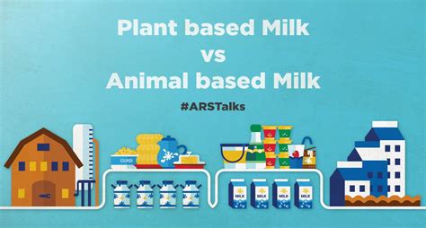 Plant Based Milk Vs Animal Based Milk Whats The Difference