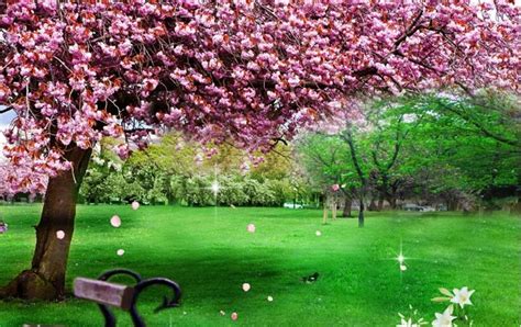 Taman bunga nusantara adalah salah satu wisata favorit yang berada di daerah jawa barat. Paling Keren 12+ Gambar Wallpaper Taman Indah - Joen Wallpaper