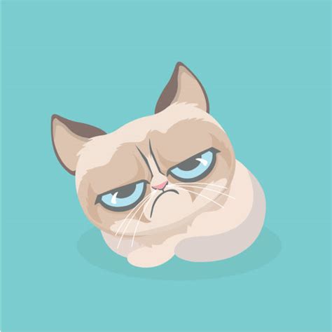 Grumpy Cat Illustrations Royalty Free Vector Graphics And Clip Art Istock