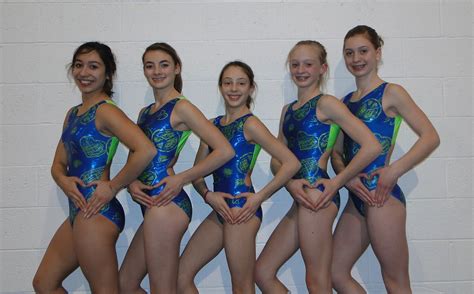 News From Grand Traverse Bay Ymca Ymca Gymnasts Win State Titles