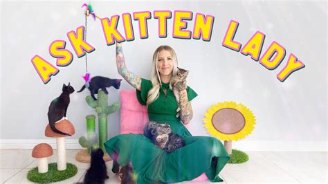 Ask Kitten Lady — Kitten Lady