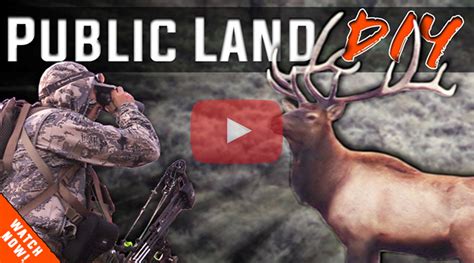 Closing The Distance Bow Hunting Montana Elk Eastmans Official Blog