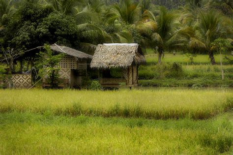 Bahay Kubo Bahay Kubo Is The Tagalog Word For Nipa Hut A Flickr