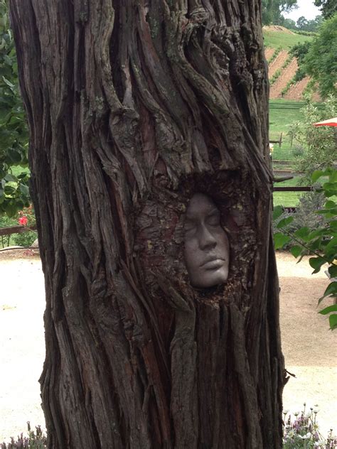 Artist At Youngs Vinyard Put Faces Into A Few Tree Knots They Are Fun