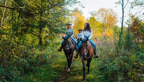 12 Stunning Trails For Horseback Riding In Michigan Michigan