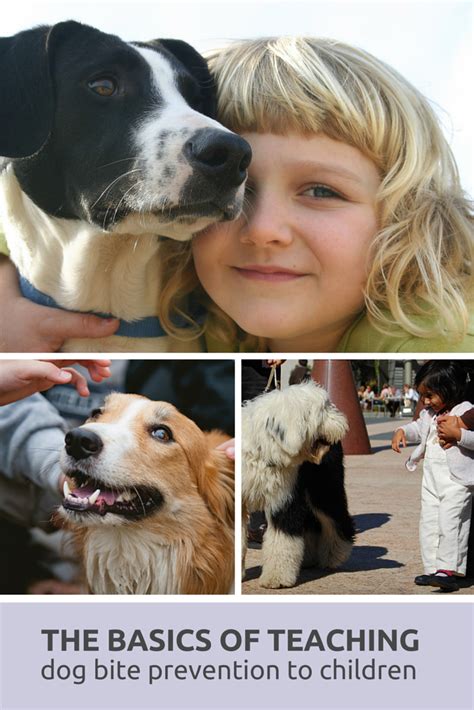 10 Dog Bite Prevention Tips For Kids Puppy Leaks Dog Biting