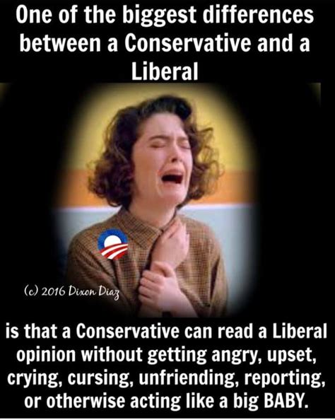 Conservatives And Liberals Brilliantly And Brutally Compared Meme
