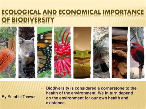Ecological And Economical Importance Of Biodiversity