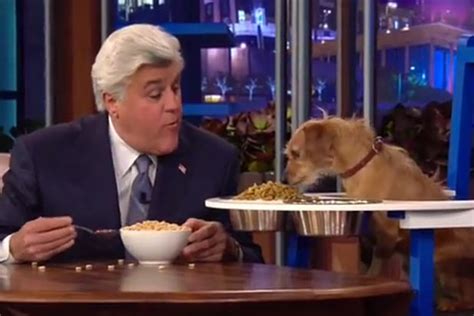 The 9 Best Jay Leno Tonight Show Food Moments Slideshow