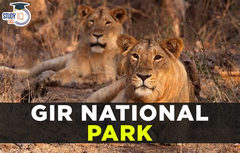 Gir National Park History Feature Location Biodiversity And Facts