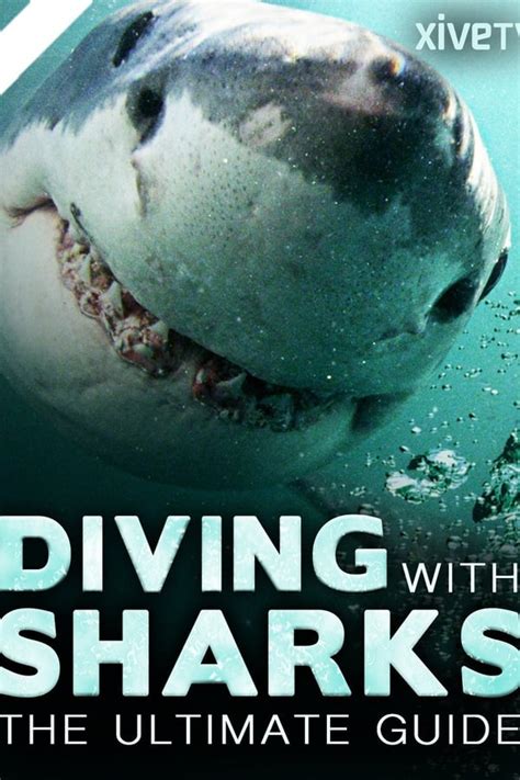 Diving With Sharks The Ultimate Guide — The Movie Database Tmdb