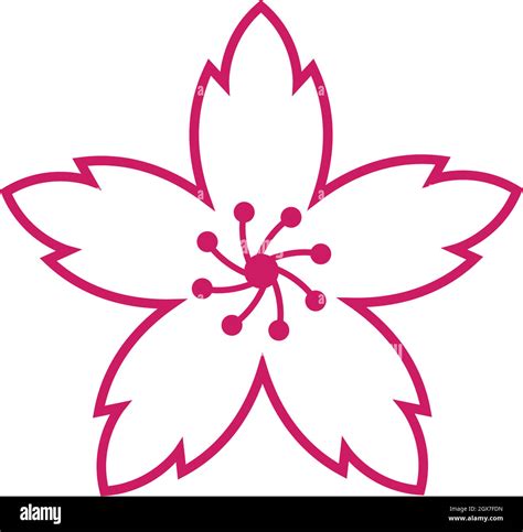 Sakura Flower Vector Illustration Design Stock Vector Image And Art Alamy