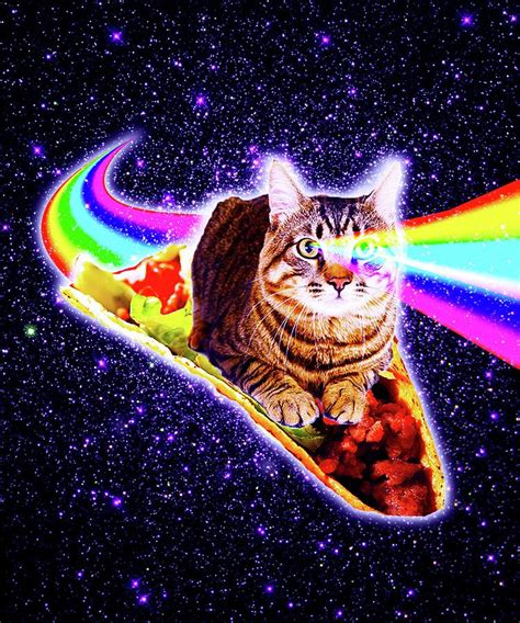 Rainbow Laser Eyes Galaxy Cat Riding Taco Digital Art By