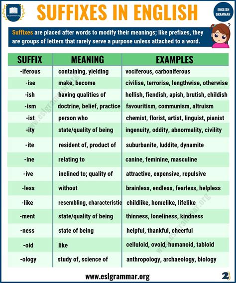 If you learn a couple prefixes, you can instantly learn hundreds of new words quickly and easily! 45 Common Suffixes with Suffix Definition and Examples ...