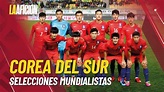 Perfil de la selección de Corea del Sur: jugadores, director técnico y ...