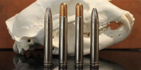 458 Win Mag Vs 458 Lott What You Know May Be Wrong Big Game Hunting Blog