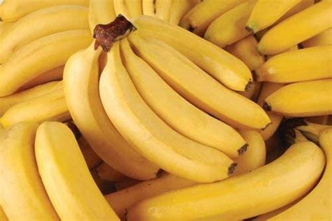 Fresh Organic Bananas Approximately 3 Lbs 1 Bunch Of 6 9 Bananas Fresh