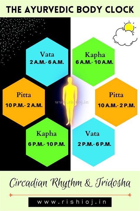 Circadian Rhythm And Tridosha Ayurvedic Body Clock Ata Time Pitta