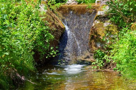 Mountain River Water Cascade Stock Photo Image Of Rainforest