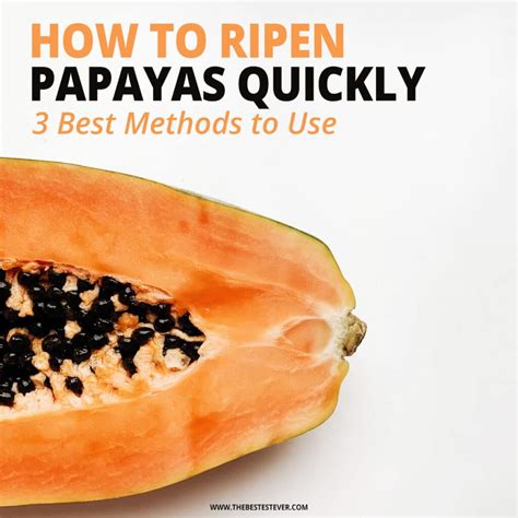 How To Ripen Papaya Quickly 3 Best Methods To Use
