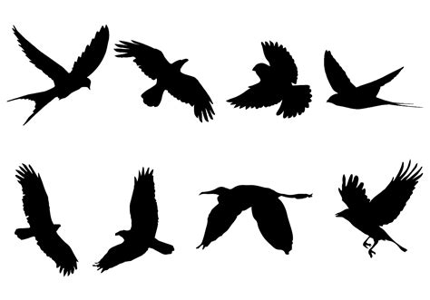 Flying Bird Silhouette Vector Download Free Vector Art Stock