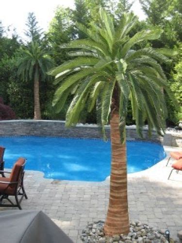 We've researched palm trees to come up with some of the best ones for residential landscapes. Artificial Palm trees around the pool | Palm trees ...