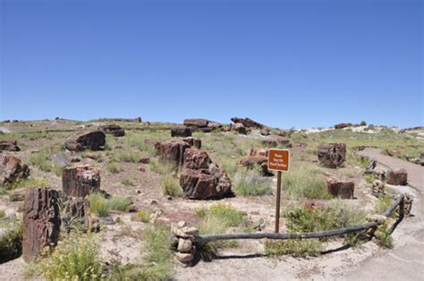 The Giant Log Trail In Petrified Forest National Park