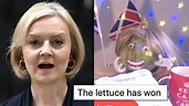 Liz Truss resigns: Lettuce memes go viral as internet reacts - PopBuzz