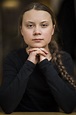 Greta Thunberg: a trajetória da sueca de 16 anos que sonha salvar o ...