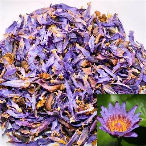 natural organic dried blue lotus flower herbal tea etsy
