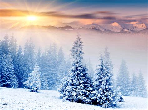 Winter Full Hd Wallpaper And Background Image 2560x1920 Id188123