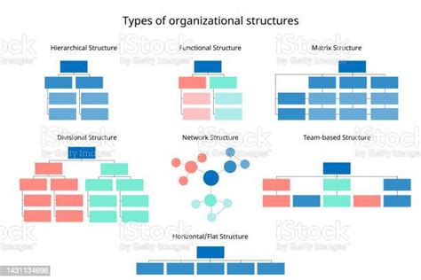 Ilustración De 7 Tipos De Estructuras Organizativas Para Organizar El