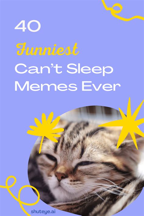 40 Of The Funniest Cant Sleep Memes Ever Shuteye