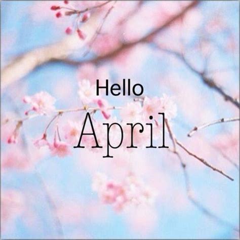 75 Hello April Quotes And Sayings Hello April Birthday Month April Quotes