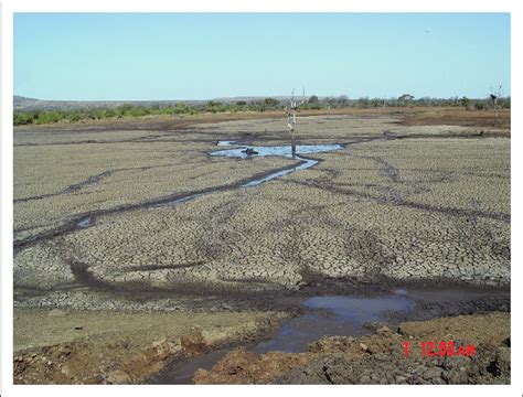 Hippopotamus Dung Ladened Sediment Nhlanganzwane Dam Download
