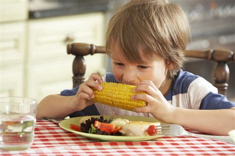 Young Boy Eating Meal In Kitchen Stock Photo Image Of Chicken Meal