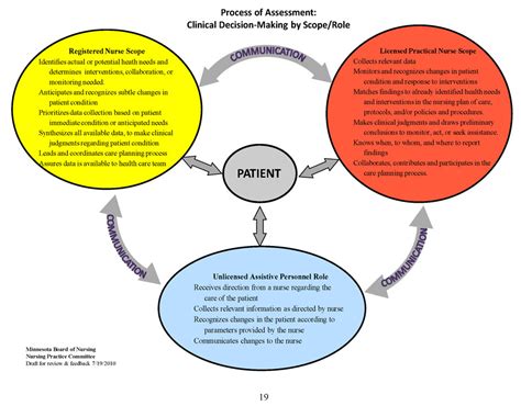 Mnbon Process Of Assessment Models Minnesota Nurses Association
