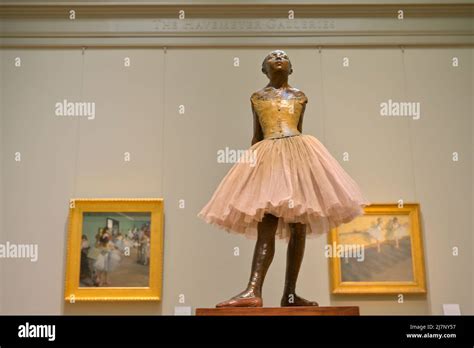 The Iconic Metropolitan Museum Of Art At The Central Park New York