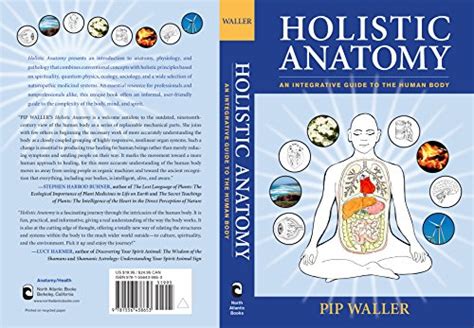 Holistic Anatomy An Integrative Guide To The Human Body Pricepulse