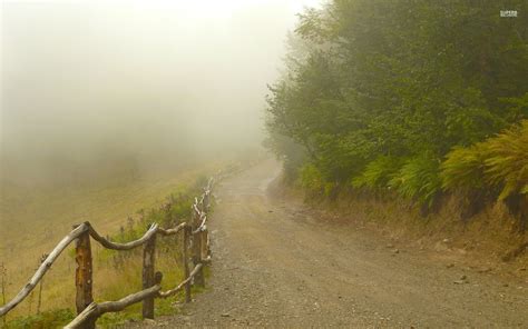 Foggy Path By The Forest Hd Wallpaper