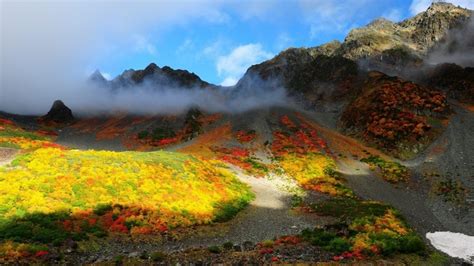 1096202 Trees Landscape Colorful Forest Fall Leaves Mountains