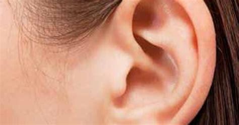 Ear Anatomy Quiz