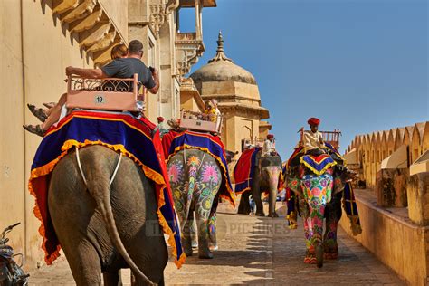 Travel4pictures Painted Indian Elephants Amer Fort