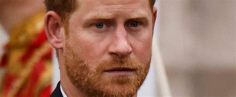 prince harry loses appeal over his police protection in the uk paudal