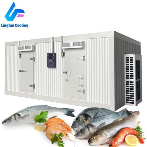 Quick Frozen Cold Storage Room For Meat Freezer China Walk In Cooler