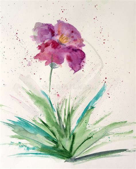 Abstract Flower Watercolor Paintings Stock Illustration Illustration