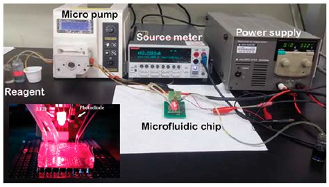 Sensors Free Full Text A Lab On A Chip Based Non Invasive Optical